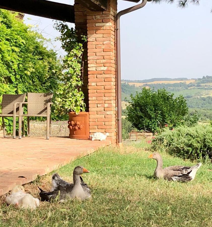 Agriturismo Sole Villa Trequanda Dış mekan fotoğraf