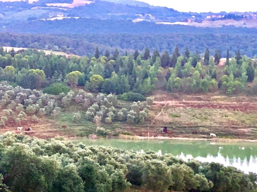 Agriturismo Sole Villa Trequanda Dış mekan fotoğraf