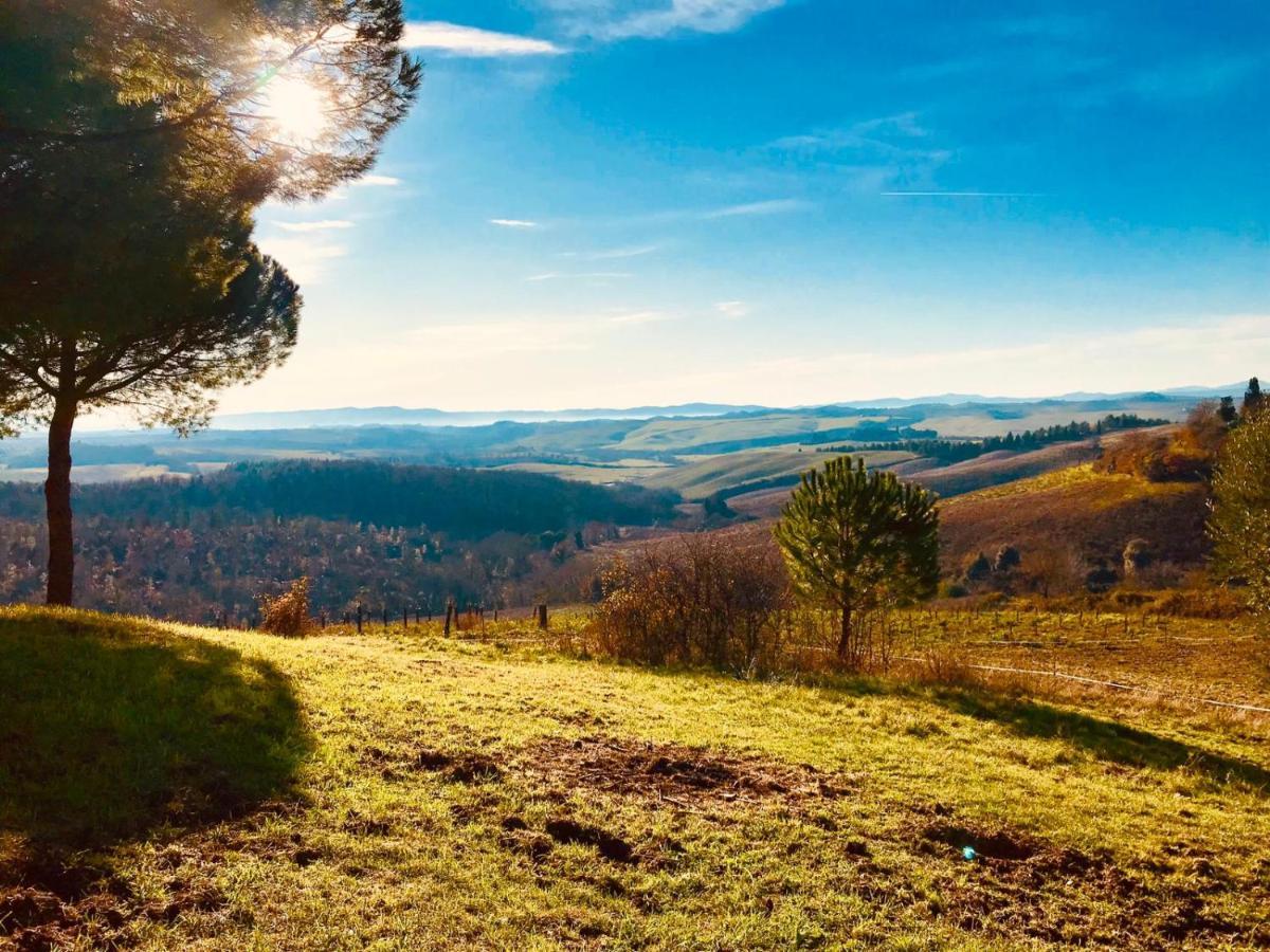 Agriturismo Sole Villa Trequanda Dış mekan fotoğraf